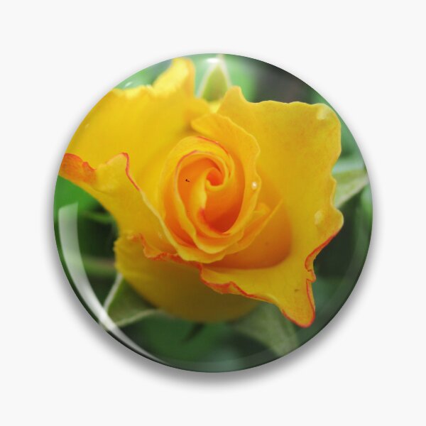 Item preview, Capullo de rosa amarillo oscuro designed and sold by HeWritesWLight.