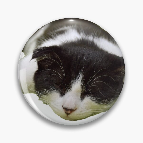 Item preview, Cat Nap designed and sold by DigitEclectic.