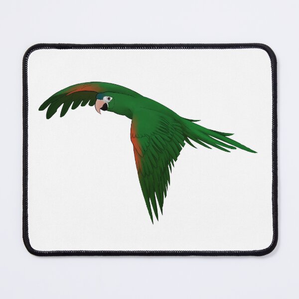 Item preview, Hahns macaw designed and sold by Totalia.