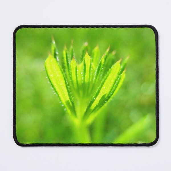 Item preview, Bright Green Field Grass designed and sold by HeWritesWLight.