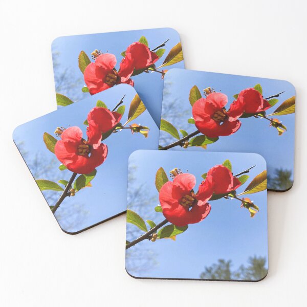 Item preview, Quince Flower designed and sold by WindDragonO.