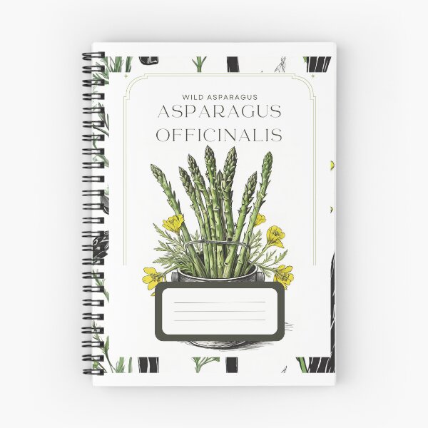 Item preview, Wild Asparagus Vintage sketch by CallisC Arts ⭐⭐⭐⭐⭐ designed and sold by CallisC-Arts.