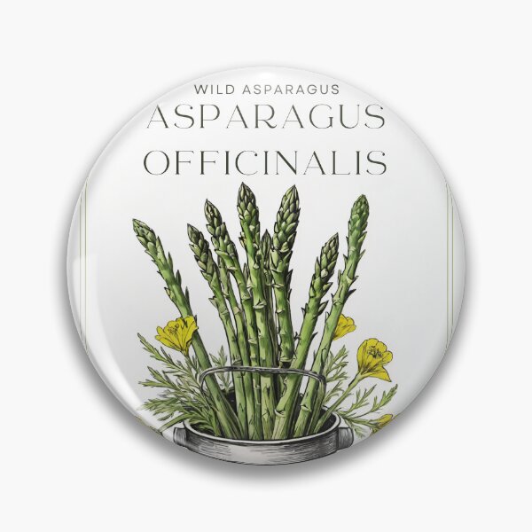 Item preview, Wild Asparagus Vintage sketch by CallisC Arts ⭐⭐⭐⭐⭐ designed and sold by CallisC-Arts.