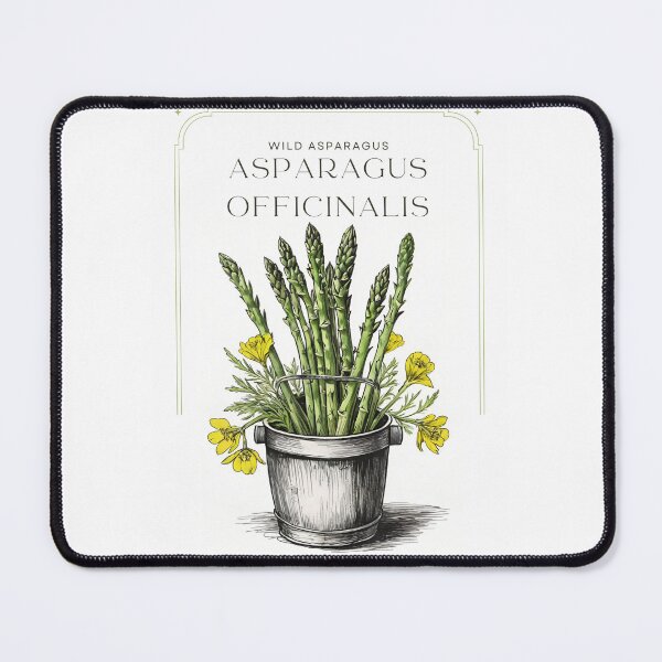Item preview, Wild Asparagus Vintage sketch by CallisC Arts ⭐⭐⭐⭐⭐ designed and sold by CallisC-Arts.