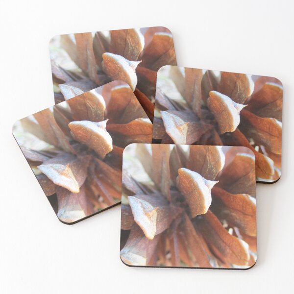 Item preview, Rocky Mountain Pinecone designed and sold by HeWritesWLight.
