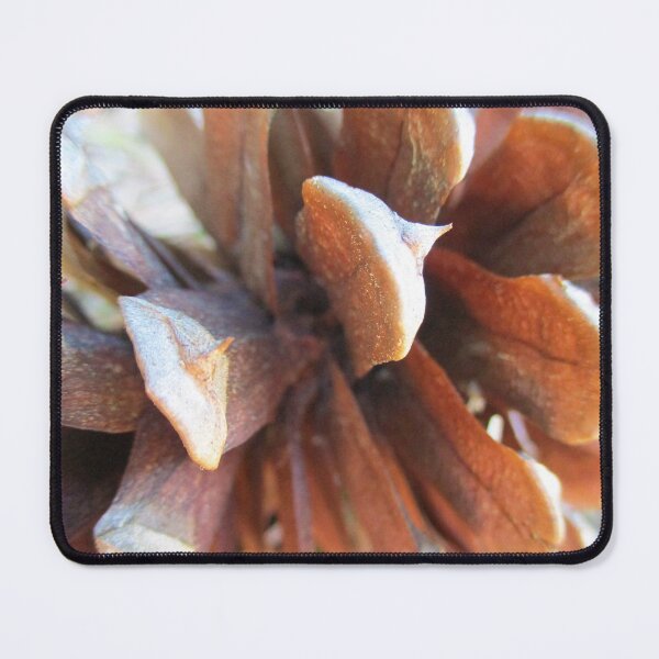 Item preview, Rocky Mountain Pinecone designed and sold by HeWritesWLight.