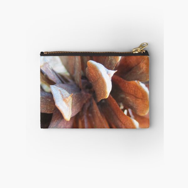Item preview, Rocky Mountain Pinecone designed and sold by HeWritesWLight.