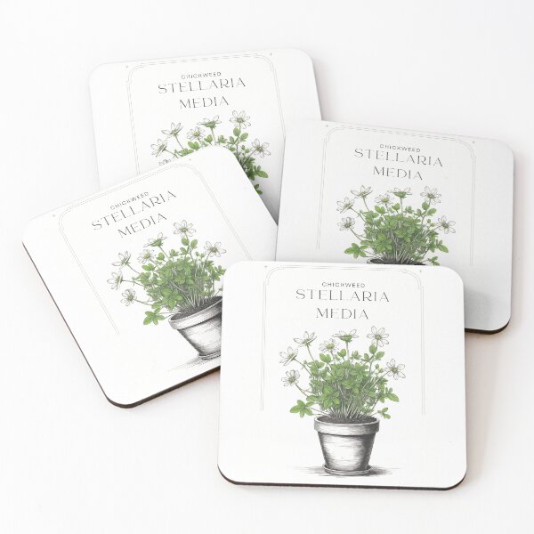 Item preview, Stellaria media Chickweed Vintage sketch by CallisC Arts ⭐⭐⭐⭐⭐ designed and sold by CallisC-Arts.