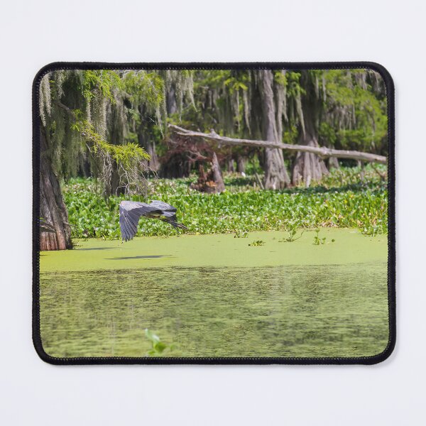 Item preview, Blue Heron in a Louisiana Swamp designed and sold by jrtwynam.