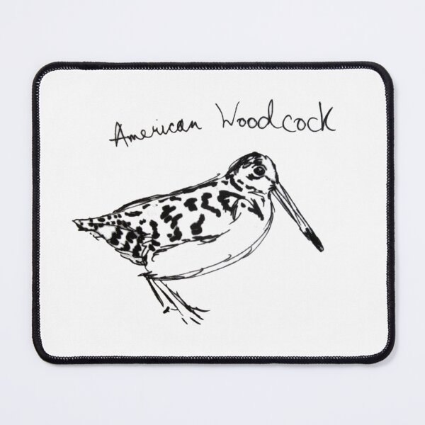 Item preview, American Woodcock Drawing designed and sold by TurnipWilson.