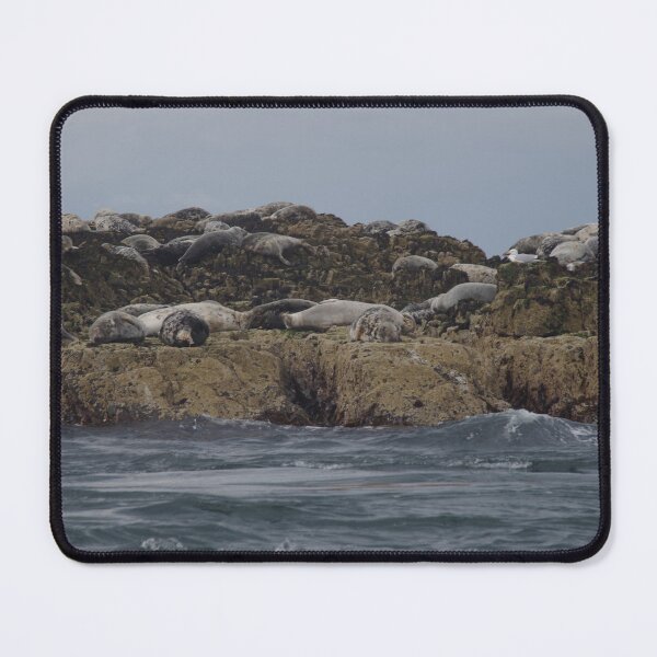 Item preview, Seals On Farne Islands, Northumberland designed and sold by lezvee.