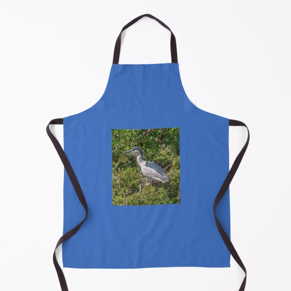 Item preview, Black-crowned Night Heron designed and sold by Lanis Rossi.