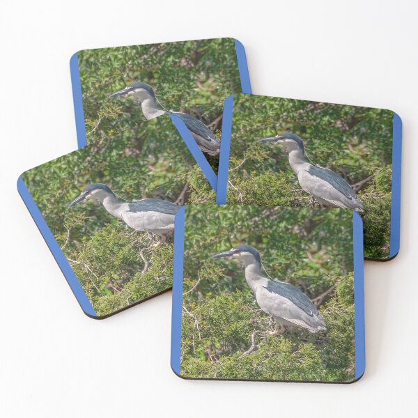 Item preview, Black-crowned Night Heron designed and sold by Lanis Rossi.