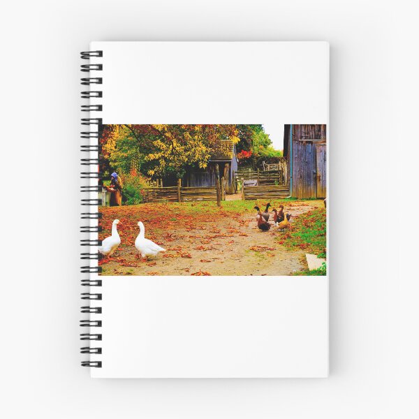 Item preview, Old lady, Geese, white ducks designed and sold by corichard.