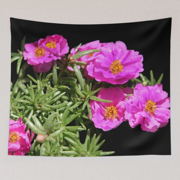 Item preview, Smiling Flowers  designed and sold by heatherfriedman.
