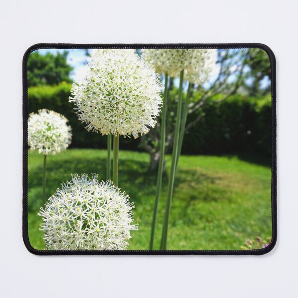 Item preview, Round white flower designed and sold by corichard.
