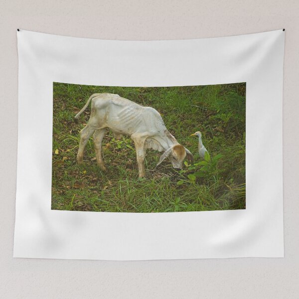 Item preview, Cla friends designed and sold by pcfyi.