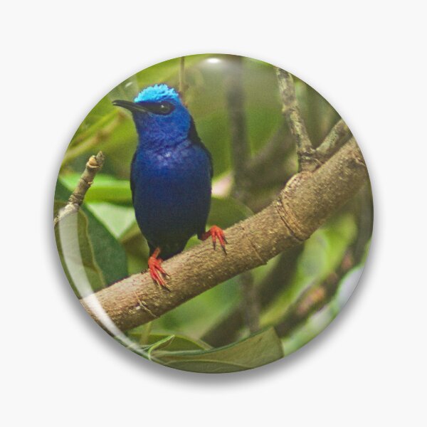 Item preview, Cla blue bird designed and sold by pcfyi.