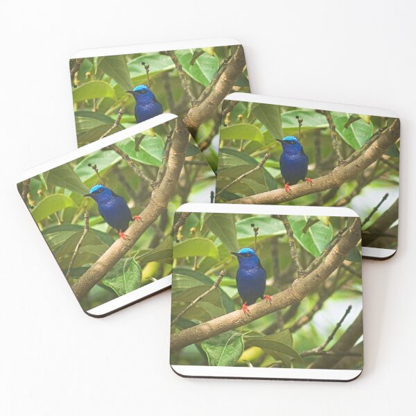 Item preview, Cla blue bird designed and sold by pcfyi.
