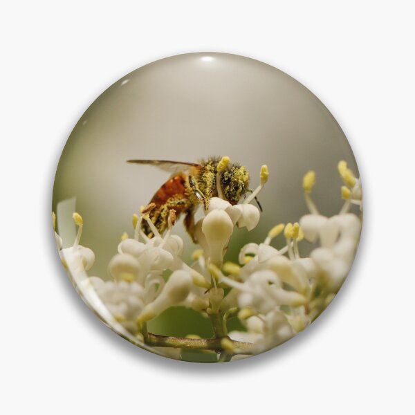 Item preview, Bee covered in pollen photography designed and sold by Stephanie SD3 Creative.