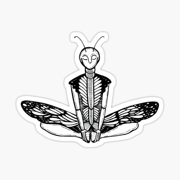 Butterfly Pose / Baddha Konasana Sticker