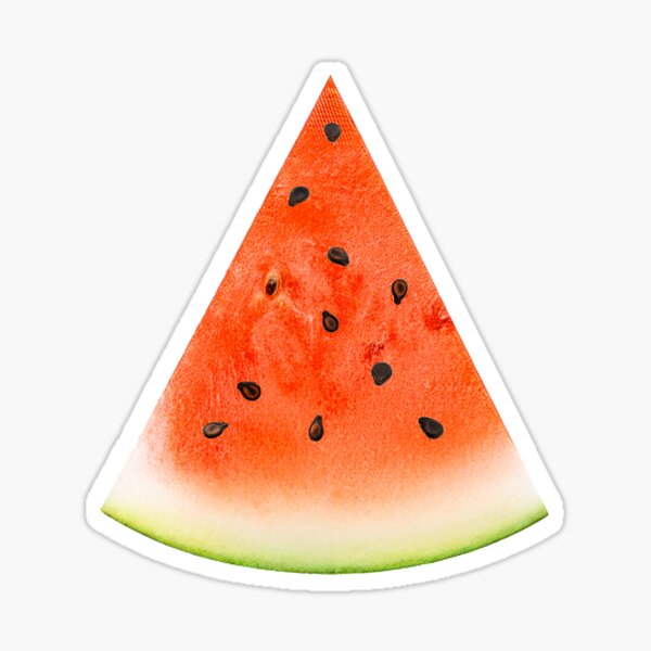 Watermelon Slice Sticker