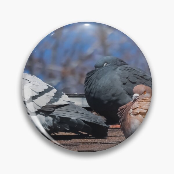 Item preview, Pigeons On The Roof designed and sold by passion4photos.