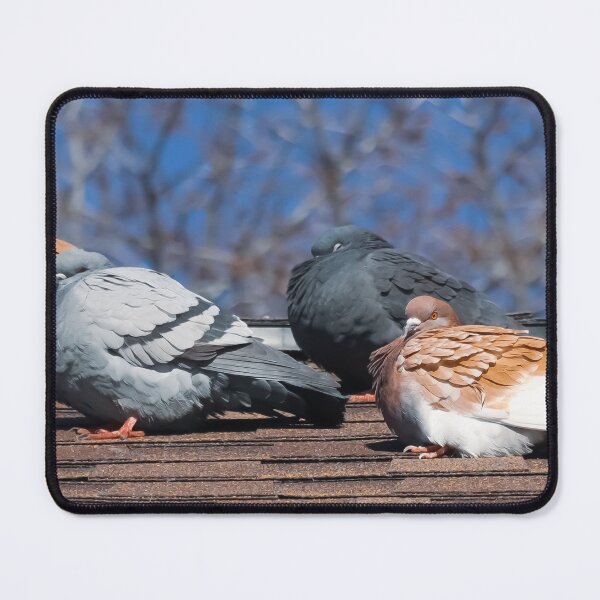 Item preview, Pigeons On The Roof designed and sold by passion4photos.