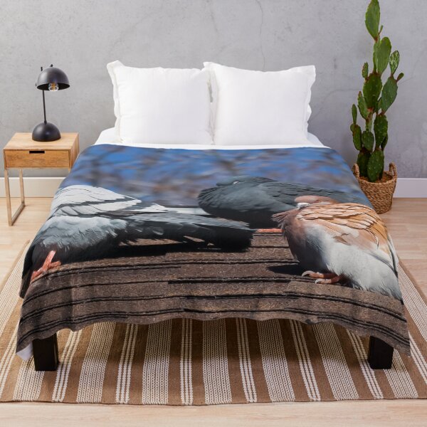 Item preview, Pigeons On The Roof designed and sold by passion4photos.
