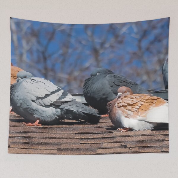 Item preview, Pigeons On The Roof designed and sold by passion4photos.