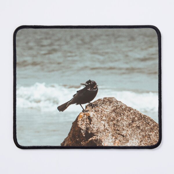 Item preview, A Crow's Coastal Sojourn: Tybee Island designed and sold by Beverleysprings.