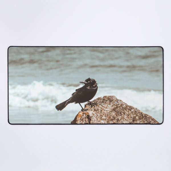 Item preview, A Crow's Coastal Sojourn: Tybee Island designed and sold by Beverleysprings.
