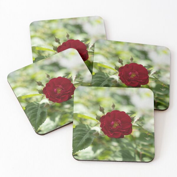 Item preview, Bold Red Rose Bloom with Dreamy Background designed and sold by Georgia Mizuleva.