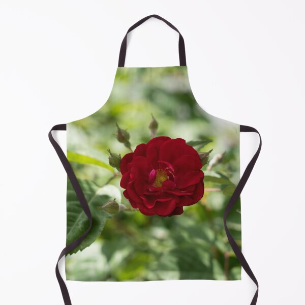 Item preview, Bold Red Rose Bloom with Dreamy Background designed and sold by Georgia Mizuleva.