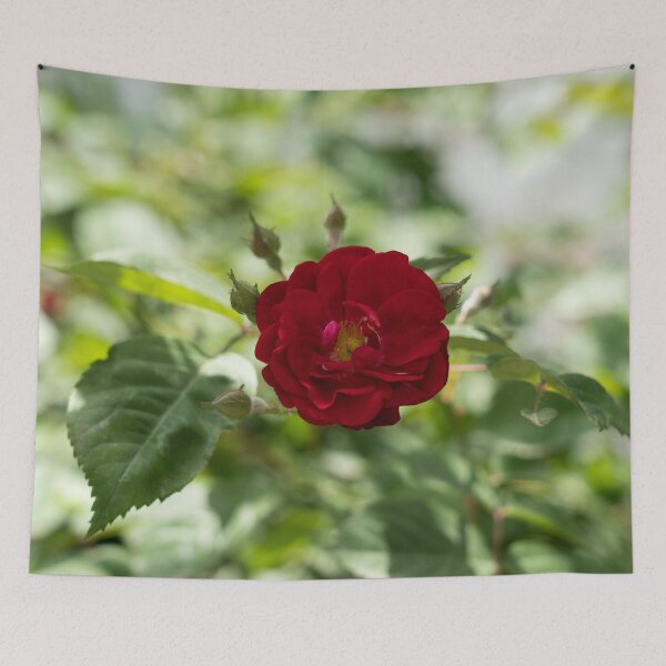 Item preview, Bold Red Rose Bloom with Dreamy Background designed and sold by Georgia Mizuleva.