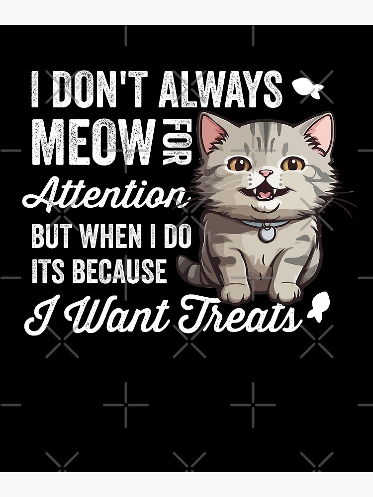 Cat Hungry My Kitten Is Constantly Hungry Do Cats Act Why Are My