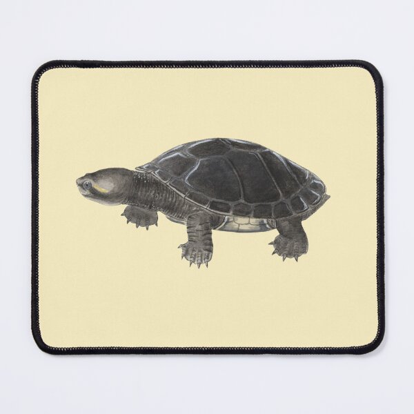 Item preview, Slow and steady [Kreffts River Turtle] designed and sold by Hannah Mathews.