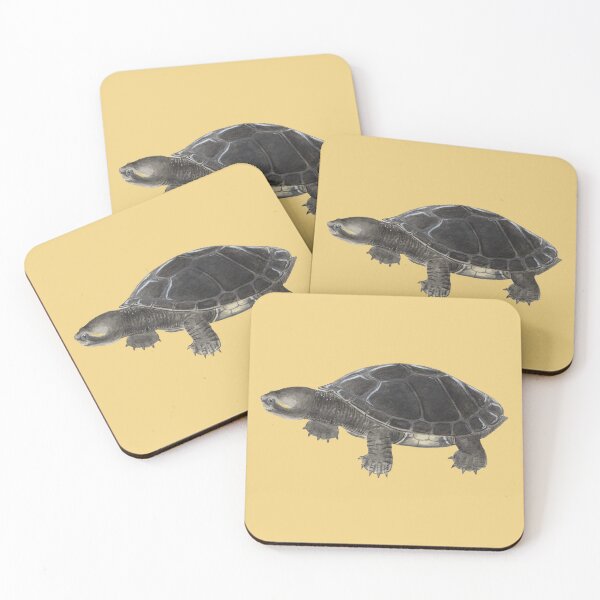 Item preview, Slow and steady [Kreffts River Turtle] designed and sold by Hannah Mathews.