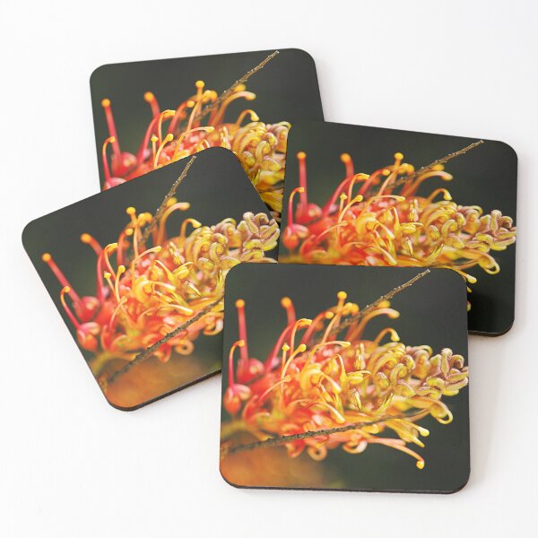 Item preview, Grevillea Flower Bright on Black designed and sold by Joy Watson - Natural Light Photography .