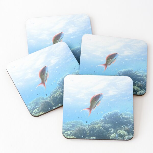 Item preview, Red Sea Creatures Marsa Alam  designed and sold by Ahmed ElMekawy.