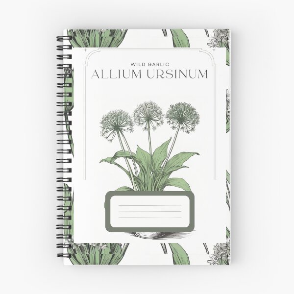 Item preview, Wild Garlic, Allium ursinum Rustic sketch by CallisC Arts ⭐⭐⭐⭐⭐ designed and sold by CallisC-Arts.