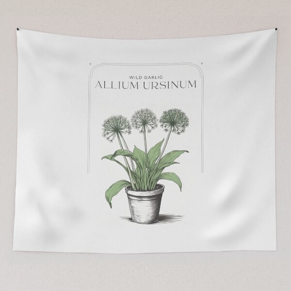 Item preview, Wild Garlic, Allium ursinum Rustic sketch by CallisC Arts ⭐⭐⭐⭐⭐ designed and sold by CallisC-Arts.