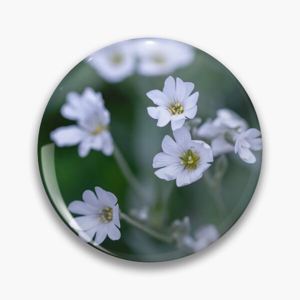 Item preview, Macro shot of Boreal chickweed flowers Cerastium biebersteini designed and sold by JPopov.