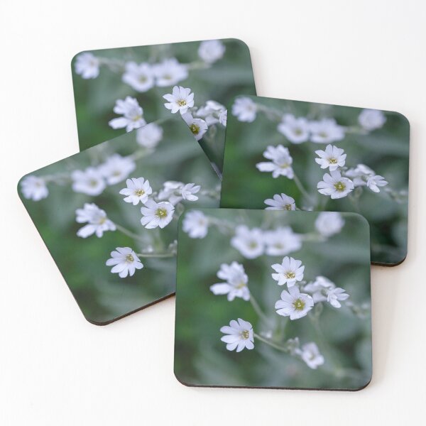 Item preview, Macro shot of Boreal chickweed flowers Cerastium biebersteini designed and sold by JPopov.
