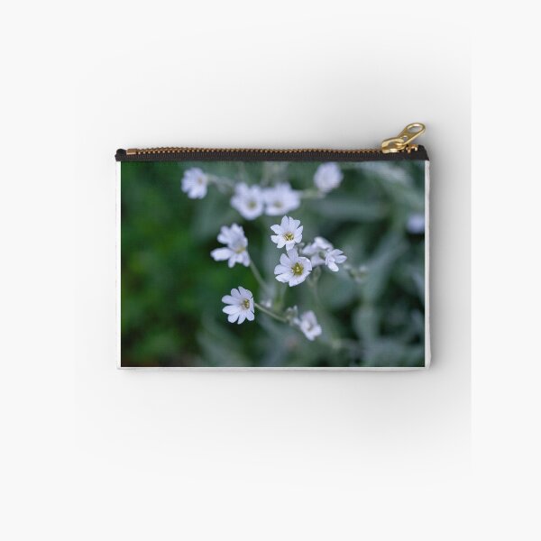 Item preview, Macro shot of Boreal chickweed flowers Cerastium biebersteini designed and sold by JPopov.