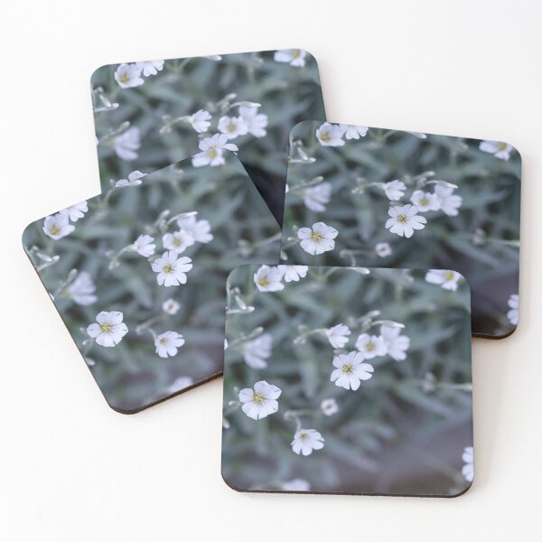Item preview, Macro shot of Boreal chickweed flowers Cerastium biebersteini designed and sold by JPopov.