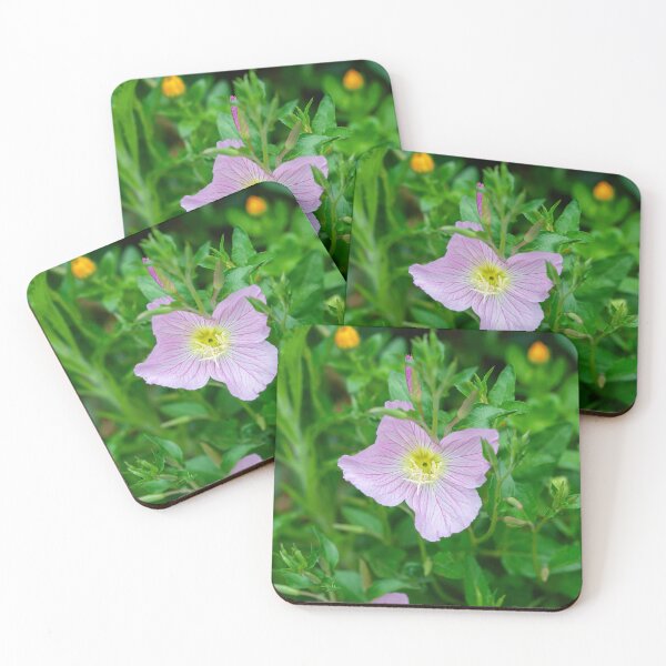 Item preview, Pink Evening Primrose Oenothera speciosa blooming on spring meadow  designed and sold by JPopov.
