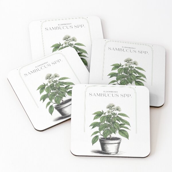Item preview, Elderberry Sambucus spp. Minimal Rustic sketch by CallisC Arts ⭐⭐⭐⭐⭐ designed and sold by CallisC-Arts.