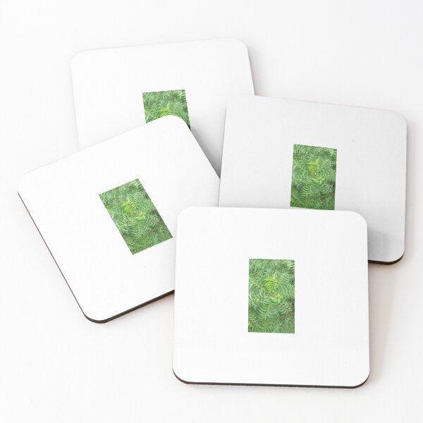 Item preview, Neem leaves designed and sold by nnsingh87.
