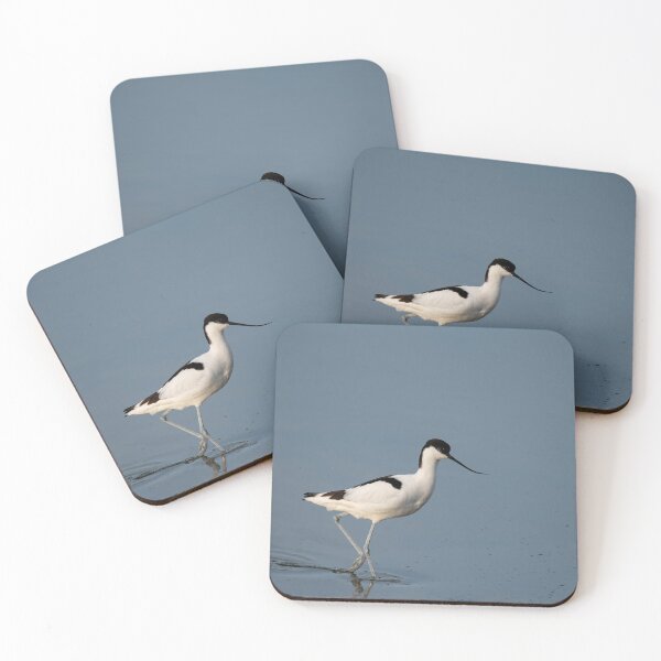 Item preview, Pied Avocet in water looking for food (Recurvirostra avosetta)  designed and sold by JPopov.